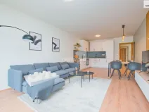 Prodej bytu 2+kk, Liberec - Liberec X-Františkov, Švermova, 69 m2