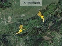 Prodej pole, Jablonec nad Jizerou - Vojtěšice, 12355 m2