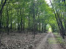 Prodej pozemku pro bydlení, Štětí - Počeplice, 1055 m2