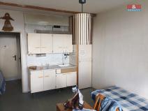 Prodej bytu 1+kk, Liberec - Liberec I-Staré Město, Březová alej, 25 m2