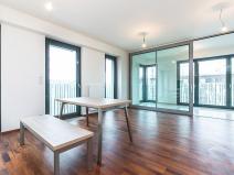 Prodej bytu 2+kk, Praha - Žižkov, Olšanská, 64 m2