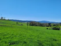 Prodej louky, Kájov - Kladné, 3266 m2