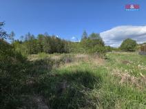 Prodej pozemku pro bydlení, Františkovy Lázně - Žírovice, 1000 m2