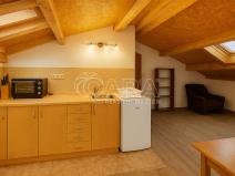 Pronájem bytu 1+kk, Ledenice, 20 m2