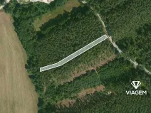 Prodej lesa, Nekmíř, 2402 m2