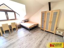 Pronájem bytu 1+kk, Brno, Palackého třída, 28 m2