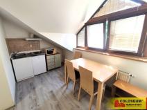 Pronájem bytu 1+kk, Brno, Palackého třída, 28 m2