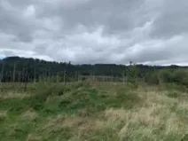 Dražba pole, Staňkovice, 1500 m2