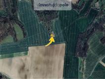 Prodej lesa, Ronov nad Doubravou, 1294 m2