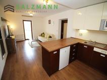 Pronájem bytu 2+kk, Plzeň, U Borského parku, 52 m2
