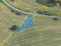 Prodej louky, Dolní Újezd, 7201 m2
