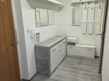 Pronájem bytu 1+1, Ostrava, Slavíkova, 40 m2