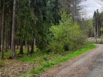 Prodej pozemku, Mlýny, 826 m2