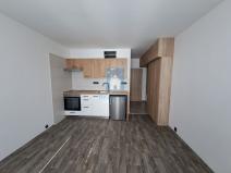 Pronájem bytu 1+kk, Plzeň, Staniční, 20 m2