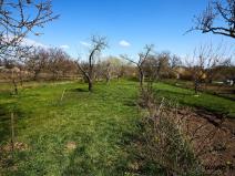 Prodej zahrady, Rajhrad, 752 m2