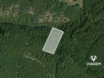 Prodej podílu lesa, Řendějov, 844 m2