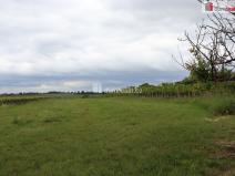 Prodej zahrady, Valtice, Lipová, 4880 m2