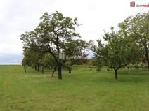 Prodej zahrady, Valtice, Lipová, 4880 m2
