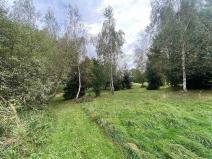 Prodej pozemku, Dolní Bukovsko - Bzí, 780 m2