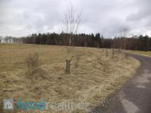 Prodej pole, Ostrov, 8162 m2