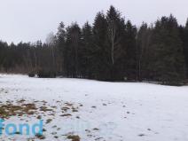 Prodej pozemku, Nová Bystřice - Blato, 19660 m2