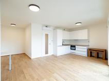 Pronájem bytu 1+kk, Praha - Žižkov, Basilejské náměstí, 42 m2