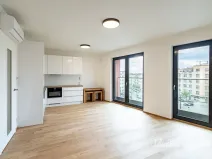 Pronájem bytu 1+kk, Praha - Žižkov, Basilejské náměstí, 42 m2
