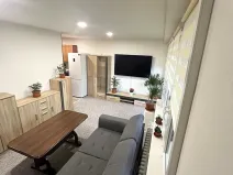 Prodej bytu 2+kk, Orlová, Osvobození, 53 m2