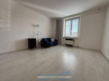 Pronájem bytu 1+kk, Znojmo, Růženy Svobodové, 30 m2
