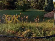 Dražba rodinného domu, Nové Sedlo, Hornická kolonie, 129 m2
