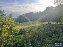 Prodej pozemku pro bydlení, Malšovice, 1331 m2