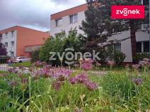 Pronájem bytu 1+kk, Zlín, Dětská, 27 m2