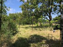 Prodej zahrady, Znojmo, 1374 m2