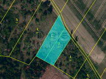 Prodej lesa, Střítež, 4100 m2