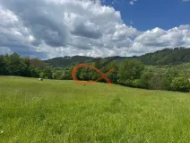 Prodej louky, Nový Hrozenkov, 25140 m2