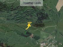 Prodej louky, Horní Branná - Valteřice, 2661 m2