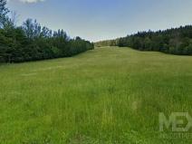 Prodej louky, Rokytnice nad Jizerou, 17539 m2