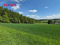 Prodej pozemku pro bydlení, Borová, 7429 m2