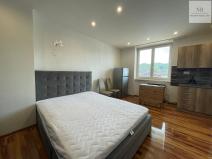 Pronájem bytu 1+kk, Karlovy Vary, Závodní, 30 m2