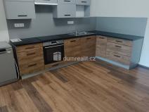Pronájem bytu 2+kk, Ústí nad Labem - Ústí nad Labem-centrum, Elišky Krásnohorské, 65 m2