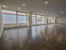 Pronájem obchodního prostoru, Praha - Stodůlky, Prusíkova, 110 m2