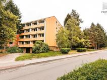 Prodej bytu 2+1, Brno, Luční, 54 m2