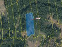 Dražba lesa, Psárov, 2941 m2