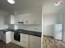 Pronájem bytu 1+1, Nový Jičín, Dlouhá, 43 m2