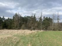 Prodej lesa, Slavičky - Pozďátky, 2084 m2