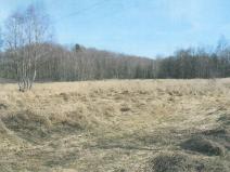Dražba pozemku, Skalná, 905 m2