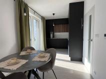 Pronájem bytu 1+kk, Brno, Reissigova, 42 m2