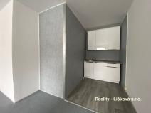 Prodej bytu 1+kk, Ústí nad Labem - Krásné Březno, Žežická, 30 m2