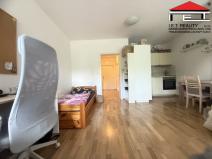 Pronájem bytu 1+kk, Brno, Francouzská, 43 m2