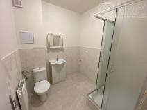 Pronájem bytu 3+kk, Ivanovice na Hané - Chvalkovice na Hané, 89 m2